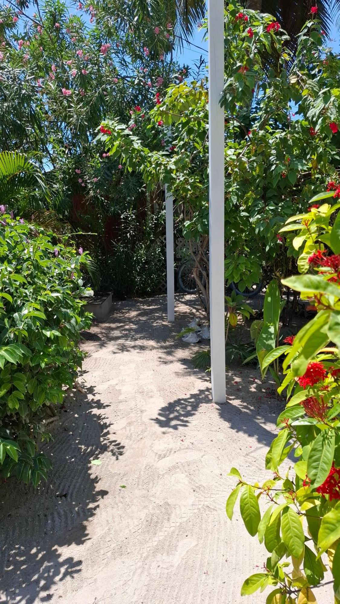 Amanda'S Place Green Studio - Pool And Tropical Garden 키코커 외부 사진