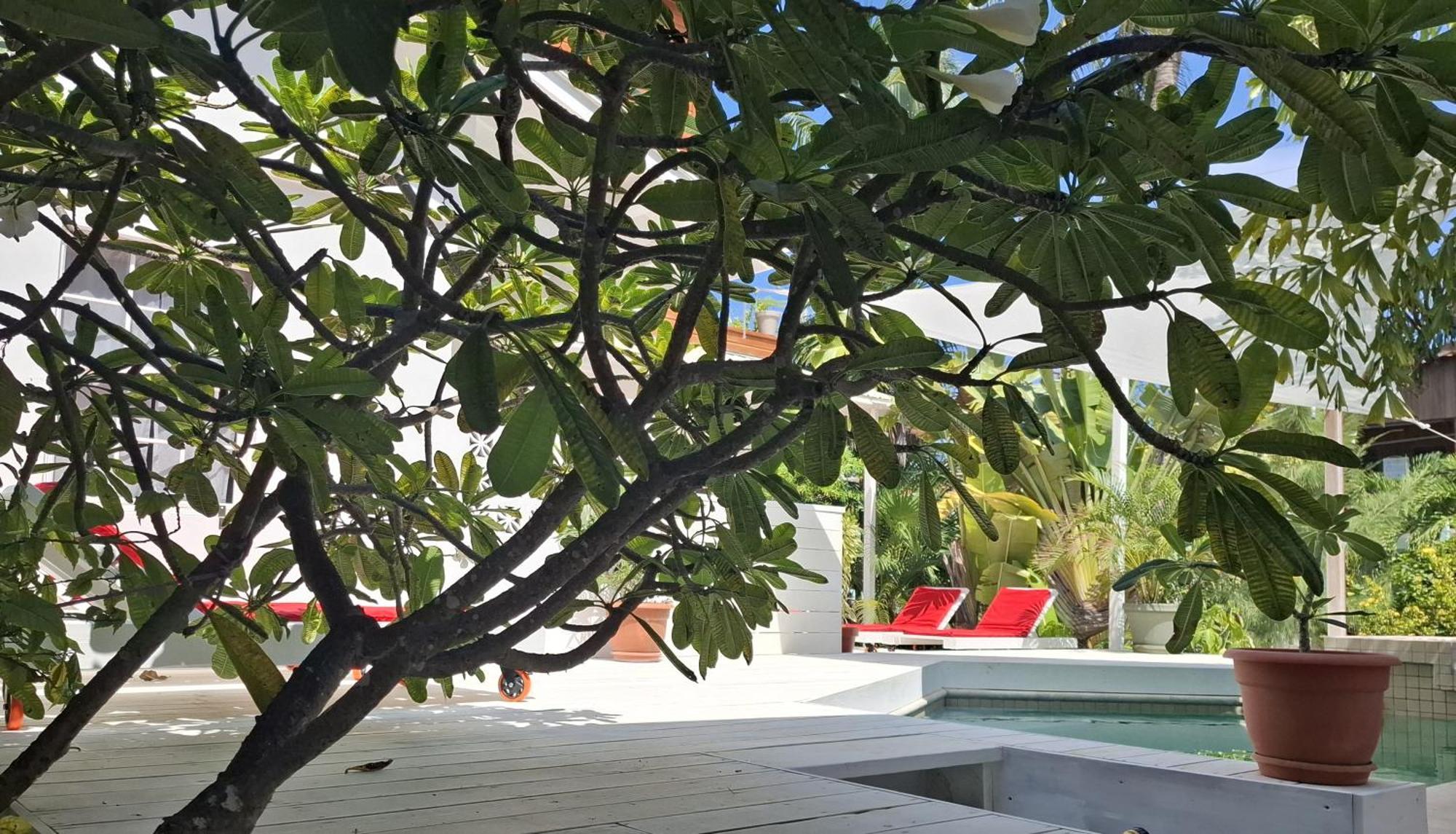 Amanda'S Place Green Studio - Pool And Tropical Garden 키코커 외부 사진